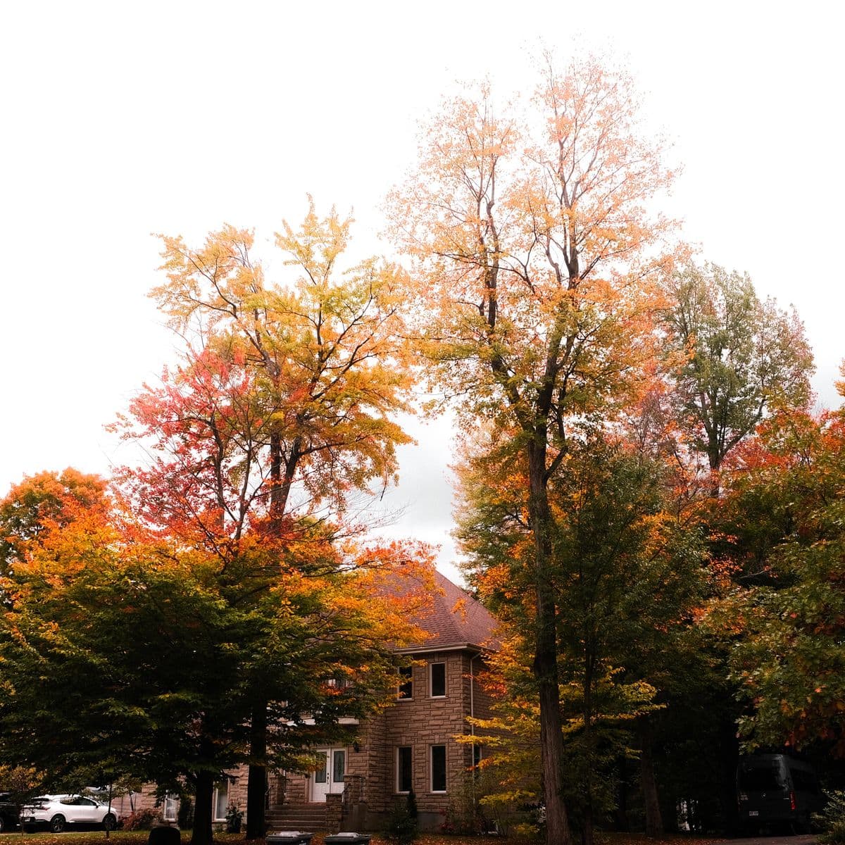 A New England home surrounded by autumn foliage